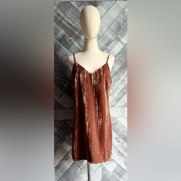 ELODIE NWOT CLAY VELVET MINI DRESS - Picture 4 of 9